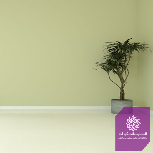 اصباغ جدران مودرن الراكة
